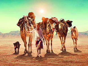 woman wearing white shirt with four camels and adult black dog