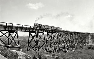 grayscale photo of train and bridge rails