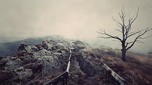 grey stone overlooking cliff and fog covered mountain HD wallpaper