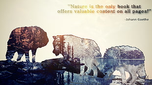 nature is the only book that offers valuable content on all pages by Johann Goethe text, nature, wolf, landscape, digital art HD wallpaper