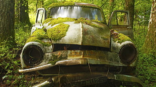 silver vehicle, vehicle, car, abandoned