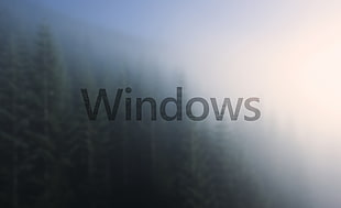 Microsoft Windows evergreen trees wallpaper, windows10, blurred, Microsoft Windows HD wallpaper
