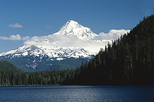 photo of mountain, trees and lake