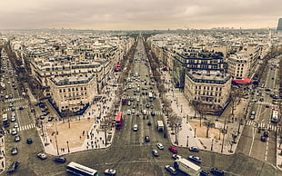 brown and black area rug, cityscape, building, Paris, France HD wallpaper