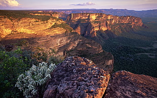 brown Canyon, nature, landscape HD wallpaper