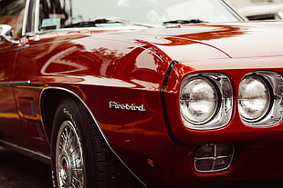 red Pontiac Firebird car
