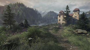 brown concrete house near pine tree, The Vanishing of Ethan Carter, video games, landscape