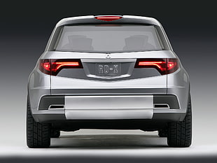 silver SUV with rd-x car plate