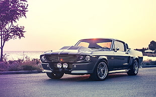 gray Ford Mustang Fastback Eleanor, Ford Mustang, Shelby, Shelby GT, muscle cars