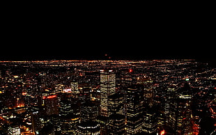 aerial photo of city skyline at nighttime