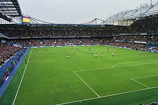soccer field, Chelsea FC, Soccer Field, stadium, soccer HD wallpaper