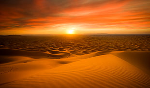 Sahara Desert horizon HD wallpaper