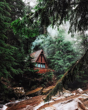 brown wooden house, forest, river, landscape