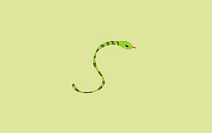 green snake illustration HD wallpaper