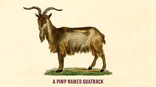 A Pimp Named Goatback HD wallpaper