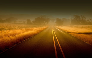 landscape photography of road between grass