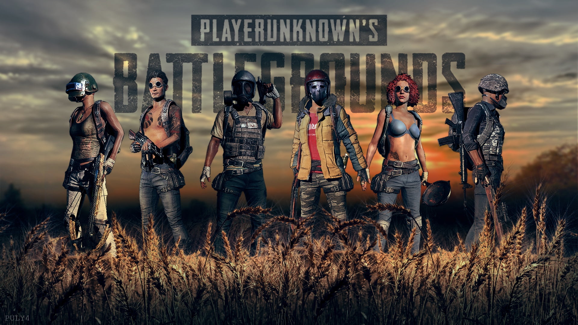 Playerunknowns Battle Grounds Poster PUBG Video Games First