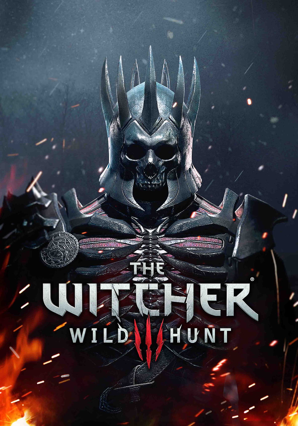 The Witcher Wild Hunt III poster, The Witcher 3: Wild Hunt HD wallpaper