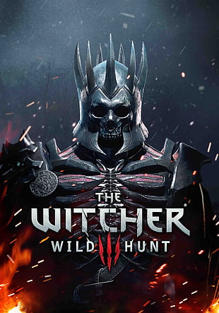 The Witcher Wild Hunt III poster, The Witcher 3: Wild Hunt HD wallpaper
