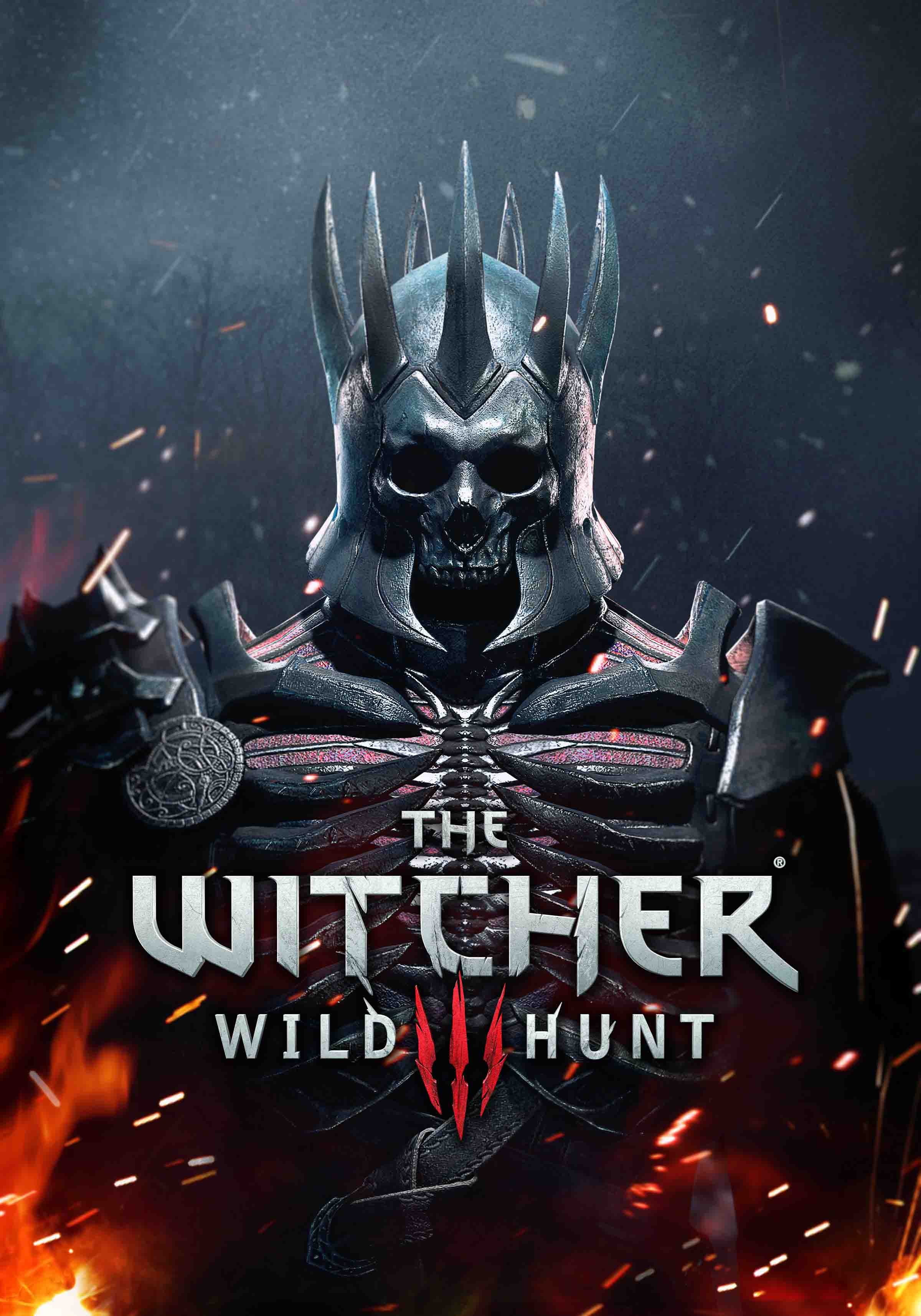 The Witcher Wild Hunt III poster, The Witcher 3: Wild Hunt
