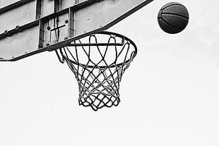 gray basketball hoop, Basketball, Net, Ring HD wallpaper