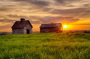 two brown house on green field under white clouds during sunset