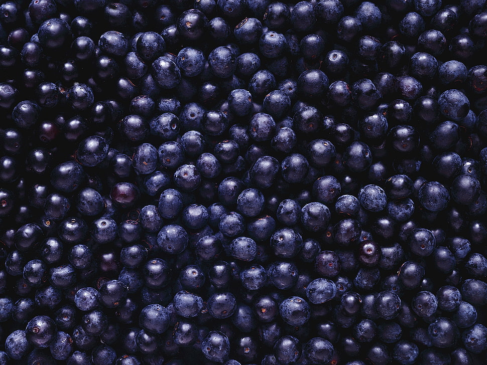 bunch of blueberries, berries, fruit HD wallpaper