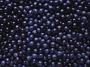 bunch of blueberries, berries, fruit