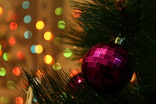 red baubles, Christmas ornaments , pine trees, bokeh
