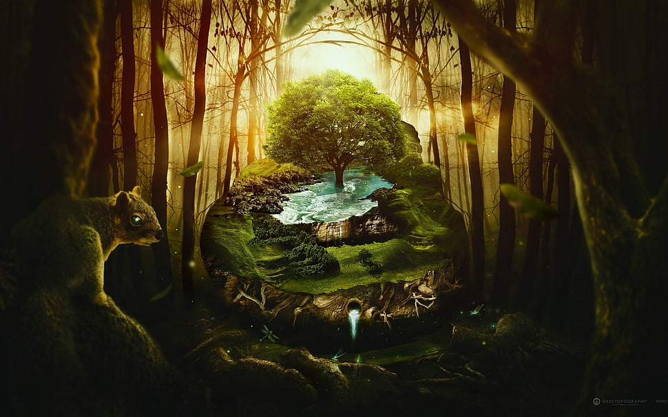 green leaf tree wallpaper, jungle, trees HD wallpaper