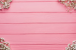 pink wooden board HD wallpaper