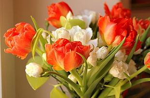 orange Tulip flowers bouquet