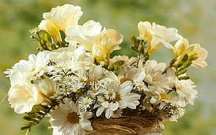 white floral arrangement HD wallpaper