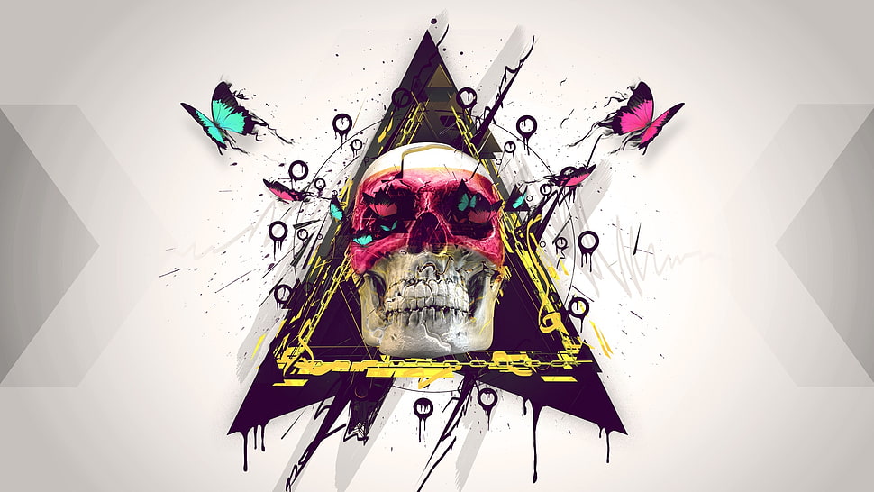 skull with butterflies and triangle illustration HD wallpaper