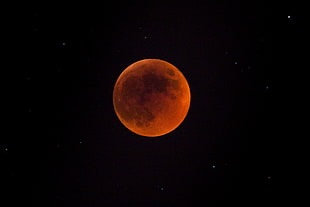 close up photography of full moon