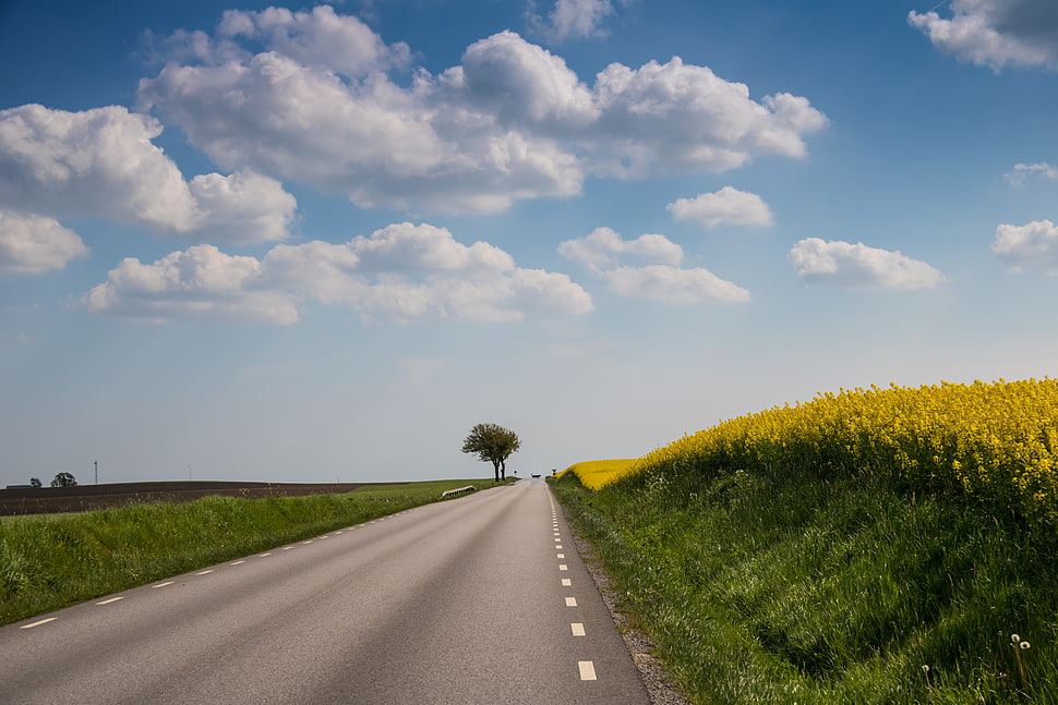 gray concrete road under white and blue cloudy sky HD wallpaper