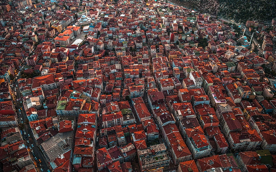 aerial shot of houses HD wallpaper