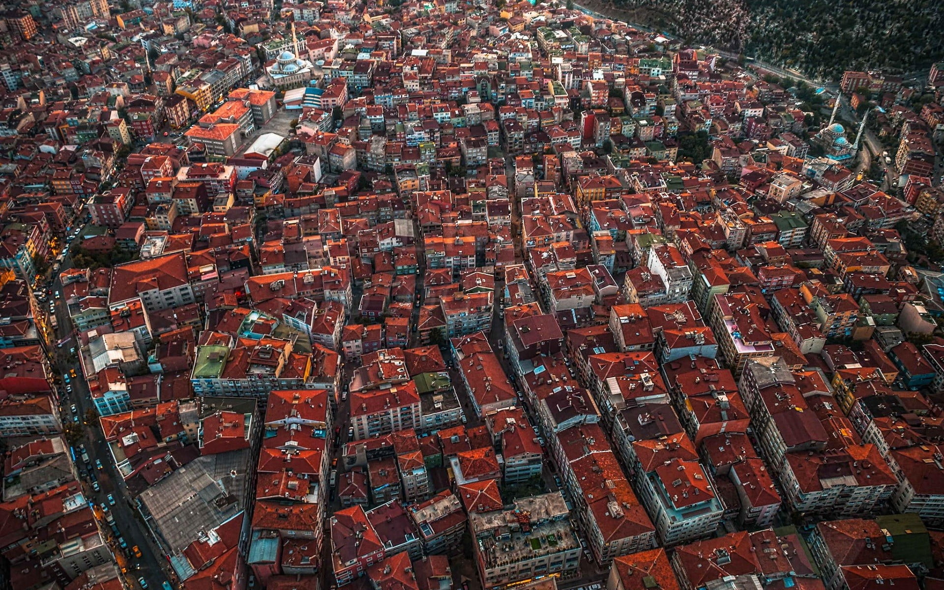 aerial shot of houses