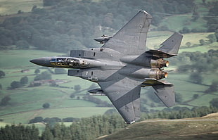 gray fighter aircraft, warplanes, F-15 Strike Eagle, McDonnell Douglas F-15E Strike Eagle HD wallpaper