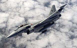 gray fighter jet, aircraft, Eurofighter Typhoon, military aircraft