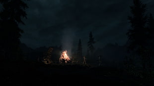 The Elder Scrolls V: Skyrim