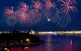 fireworks display during night time HD wallpaper