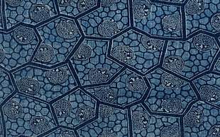 pattern, texture, abstract