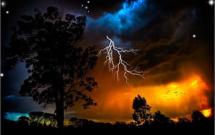 silhouette of tree under cloudy sky
