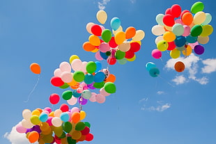 assorted-color balloon lot, happy, colorful HD wallpaper