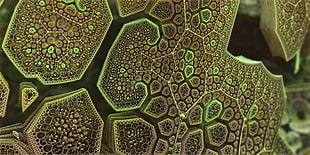 shallow focus of green and brown wood HD wallpaper