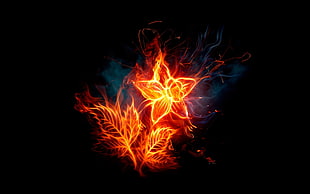 fire Rose flower digital wallpaper