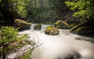 white and black ceramic vase, long exposure, stream, waterfall, forest