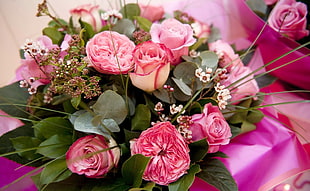pink Roses bouquet HD wallpaper