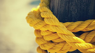 yellow rope at daytime